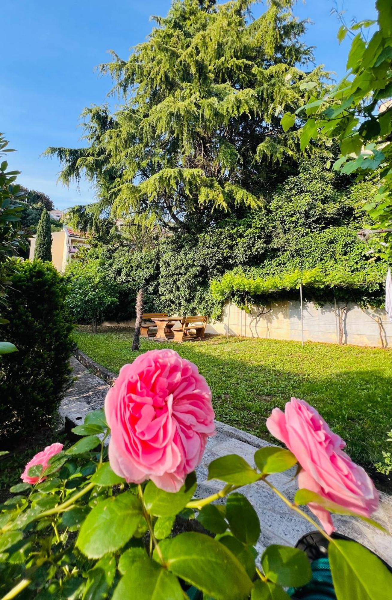 Villa Verde Piran, Authentic Mediterranean Stay Екстериор снимка